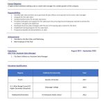 Bank Sales With One Page CV Format