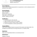 Simple Accounting Executive with One Page CV Format