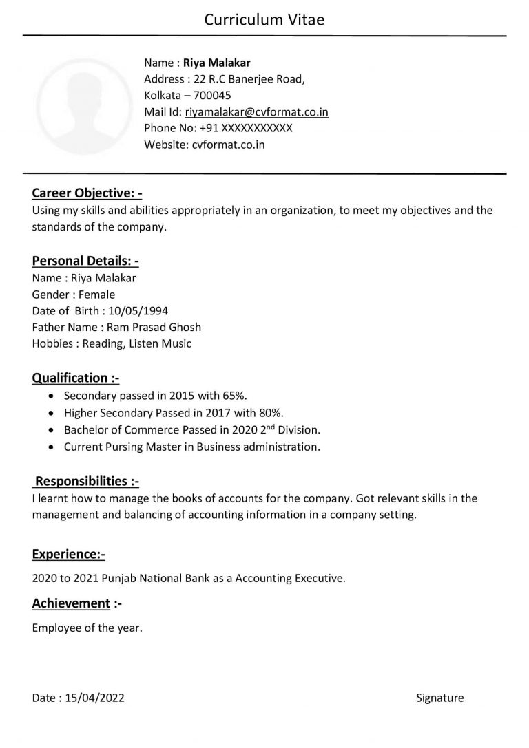 Read more about the article Simple Accounting Executive with One Page CV Format