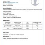 Simple CV Format Accounts